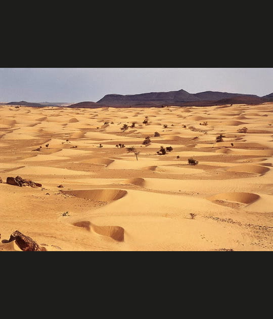 Dunes en forme de croissant