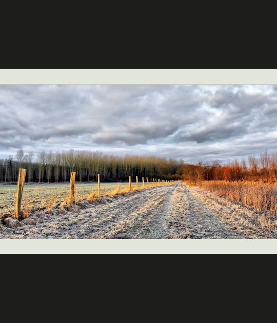 Chemin de givre