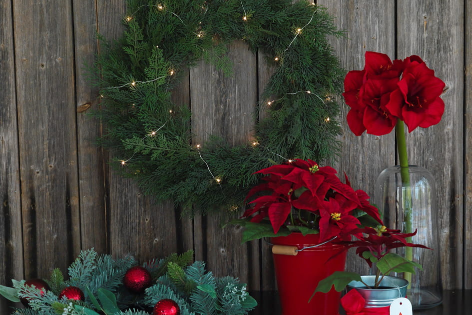 Une couronne de No&euml;l illumin&eacute;e