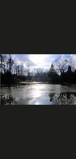 Saint-Mand&eacute;&nbsp;: +4,82&nbsp;% sur&nbsp;trois&nbsp;mois