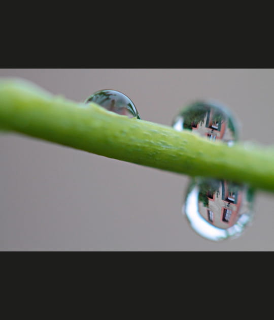Reflet dans une goutte d'eau