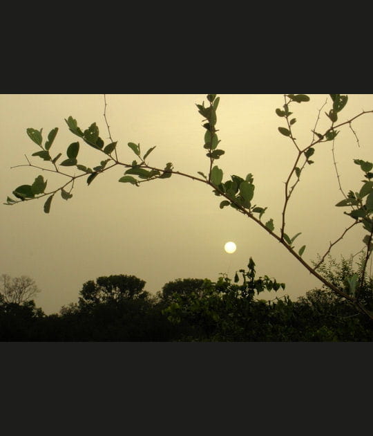 Ciel vert &agrave; Bamako