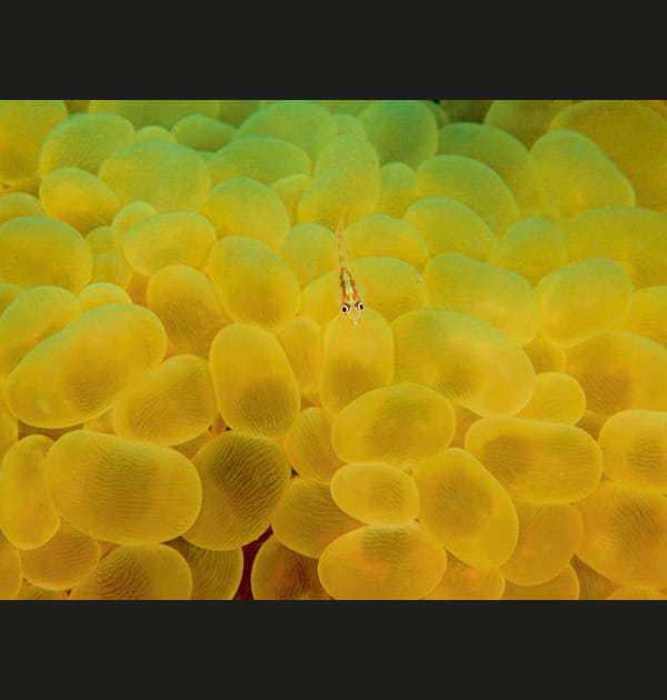 20&nbsp;photos saisissantes d'une nature color&eacute;e