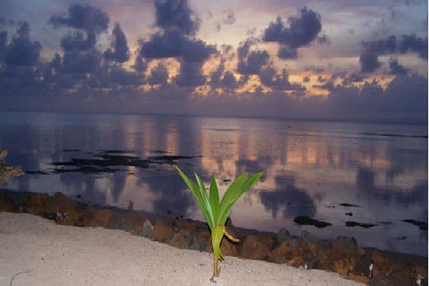 Sainte Marie version indigo