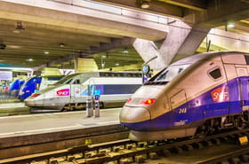 Elle a &eacute;t&eacute; &eacute;lue meilleure gare fran&ccedil;aise d'un classement international et on ne s'y attendait pas