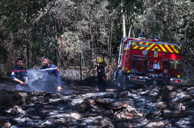 Feux de for&ecirc;ts&nbsp;: plusieurs d&eacute;partements en &quot;danger &eacute;lev&eacute;&quot;, la prudence est de mise