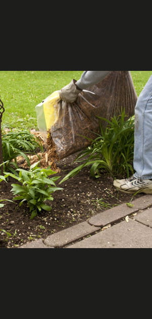 Pailler ses plantes