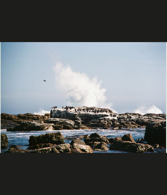 Le Cap
