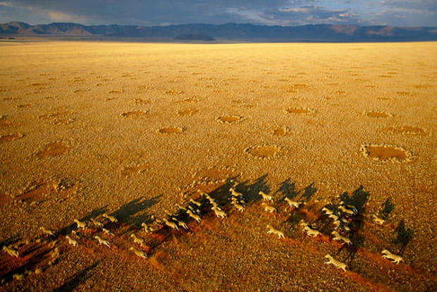 Les cercles de fées