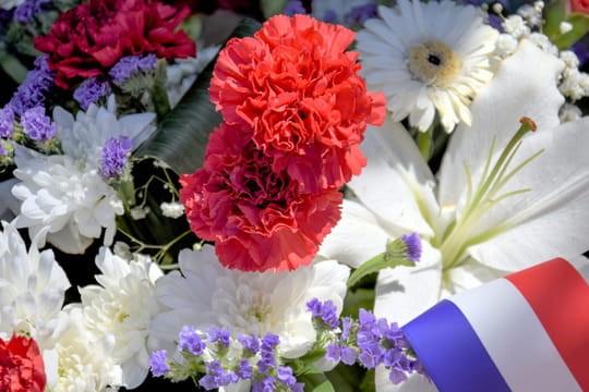 11&nbsp;novembre 2025&nbsp;: tout savoir sur l'Armistice de 1918&nbsp;et sa comm&eacute;moration