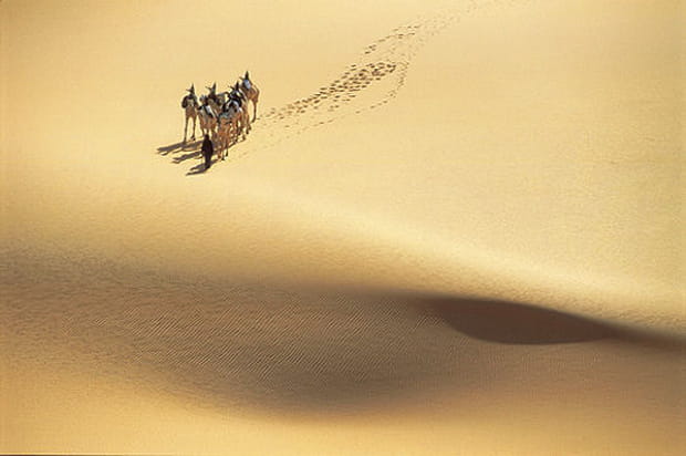 Dans le Nefoud en Arabie Saoudite