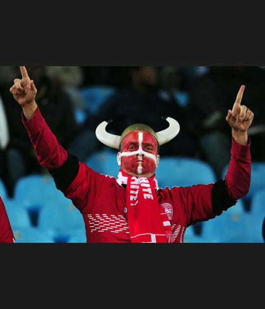 Viking danois