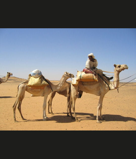Arriv&eacute;e &agrave; Khartoum&nbsp;: le d&eacute;sert de Bayuda