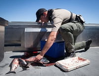 Rangers Patrol : Bagarre sur la plage