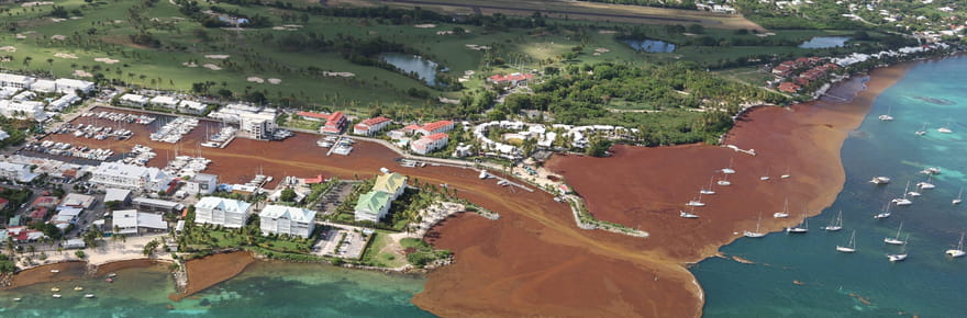 Une immense couche brune s'&eacute;tend dans l'oc&eacute;an Atlantique et inqui&egrave;te les chercheurs, un ph&eacute;nom&egrave;ne mortel