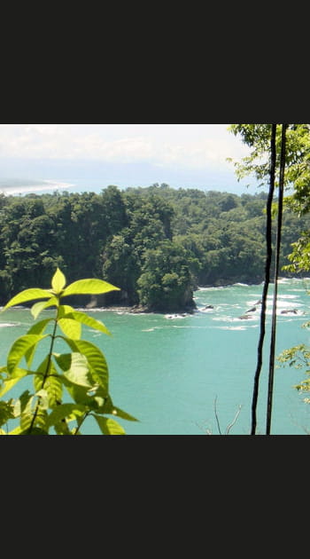 Au Costa Rica, le parc de Quepos