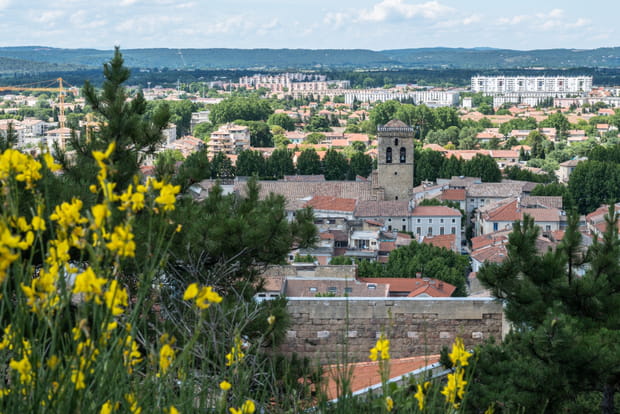 Orange, un soleil éclatant dès le début du printemps