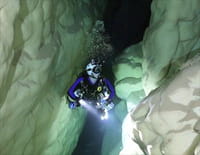 Blue World