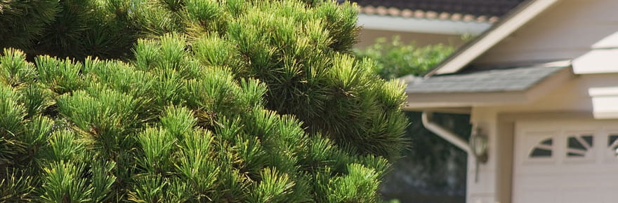 Il ne faut surtout pas approcher ou toucher ces petites b&ecirc;tes - elles sont de retour dans les jardins