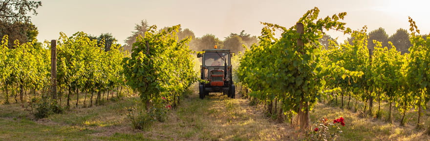 Pesticides dans les urines et enfants contamin&eacute;s&nbsp;: Sant&eacute; publique France donne 6&nbsp;consignes aux m&eacute;nages pour limiter leur exposition