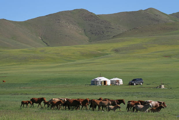 La Mongolie, avec une bonne assurance