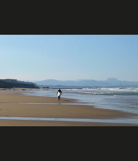 Solitude