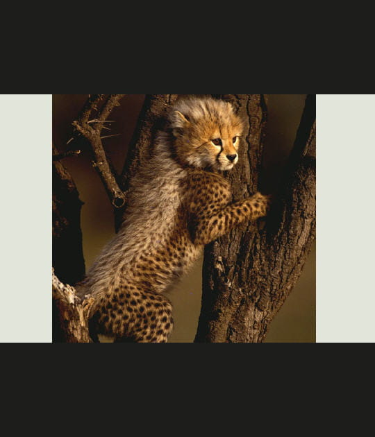 Premi&egrave;re grimpette