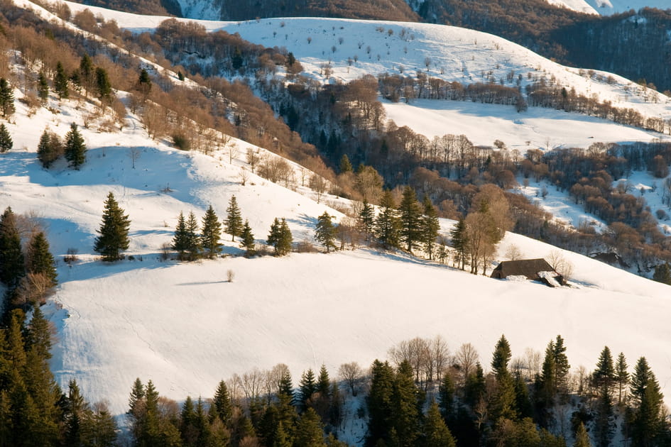 Les monts du Cantal