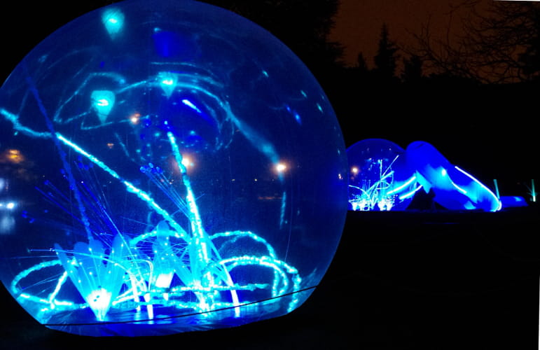 Les bulles scintillantes du Parc de la Tête d'Or