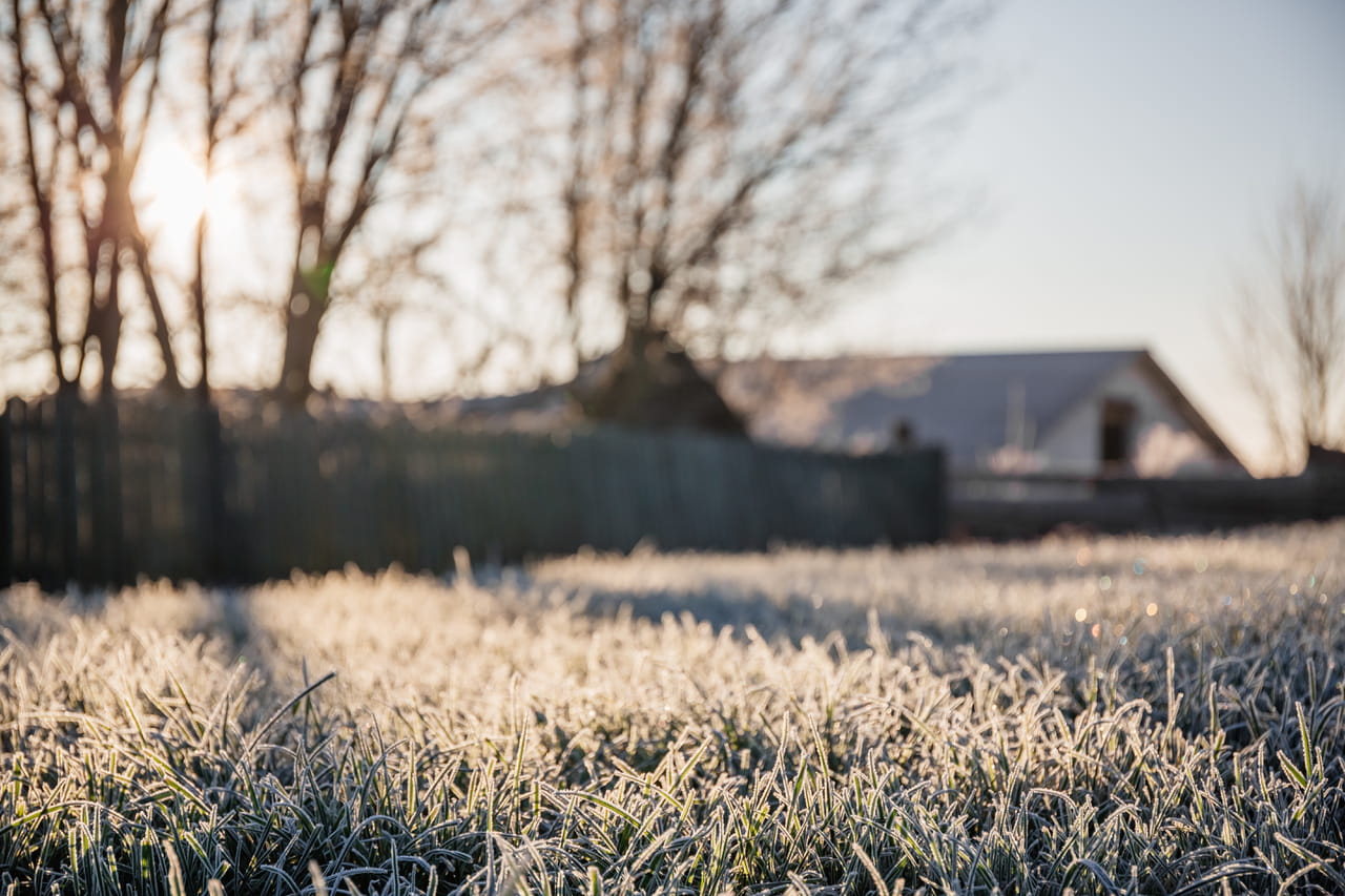 Après la douceur, un choc froid et des gelées sont annoncés ! L'air de l'Arctique va tout gâcher à cette date