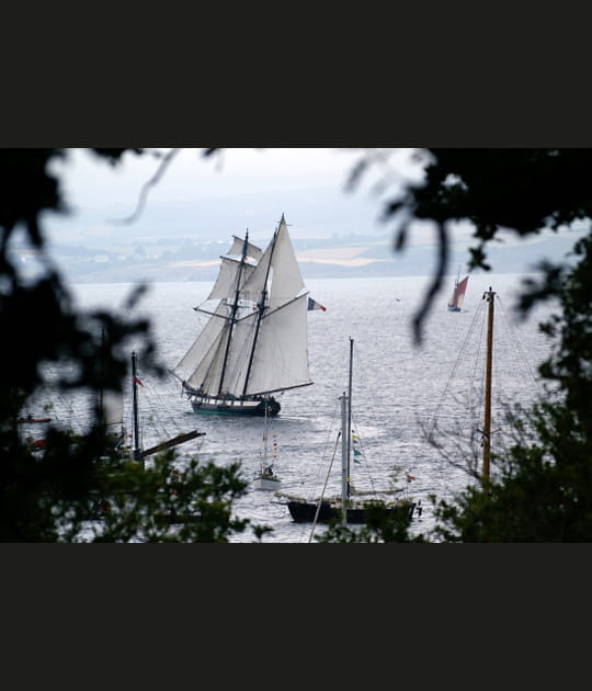 Toutes voiles dehors