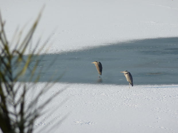 Le palmarès des 15 sites les plus visités de France