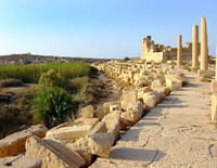 Des racines et des ailes : Un voyage entre Orient et Occident