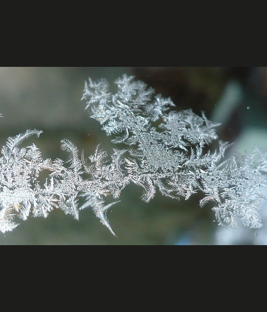 Dessin naturel