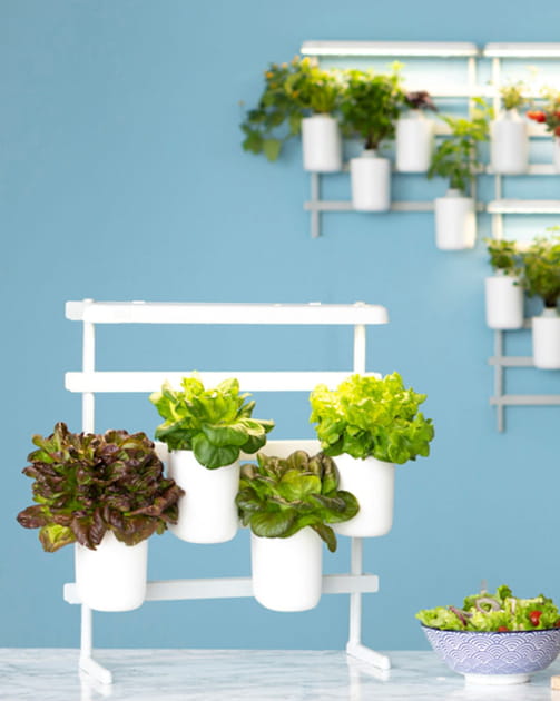 Ajouter des plantes