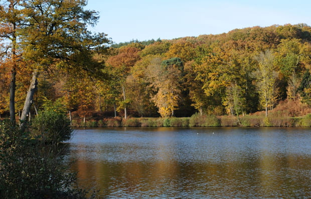 Parc naturel régional de la Haute Vallée de Chevreuse