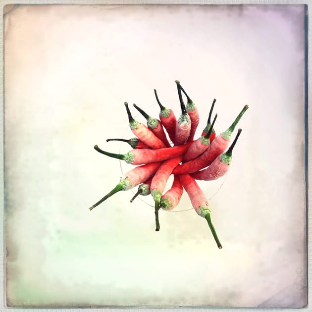 2e prix de la cat&eacute;gorie Nourriture&nbsp;: bouquet&nbsp;de&nbsp;piments