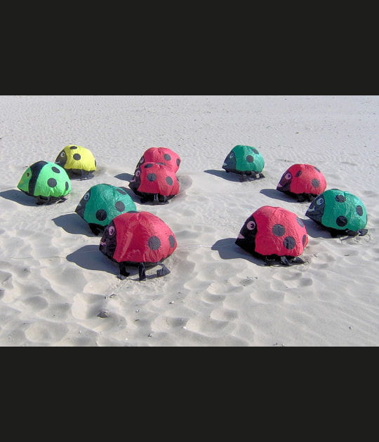 La bande des coccinelles
