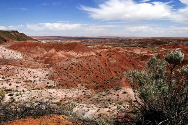 Petrified Forest National Park