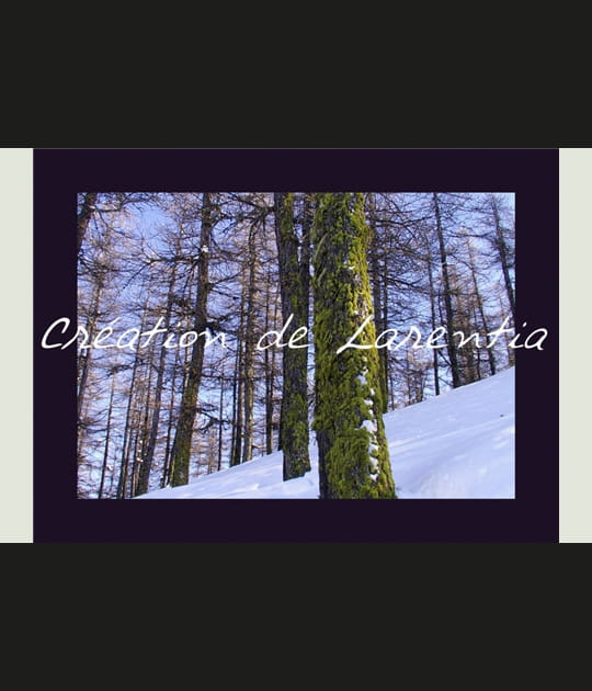 For&ecirc;t sous la neige