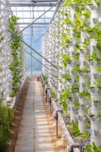 M&eacute;ga-bassines, les arguments contre&nbsp;: une &quot;solution&quot; qui emp&ecirc;che de r&eacute;fl&eacute;chir aux usages de l'eau