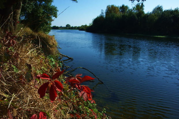 Les berges du Cher