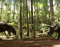 Les aventures des Ceratops