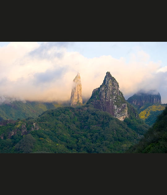 L'&icirc;le cath&eacute;drale