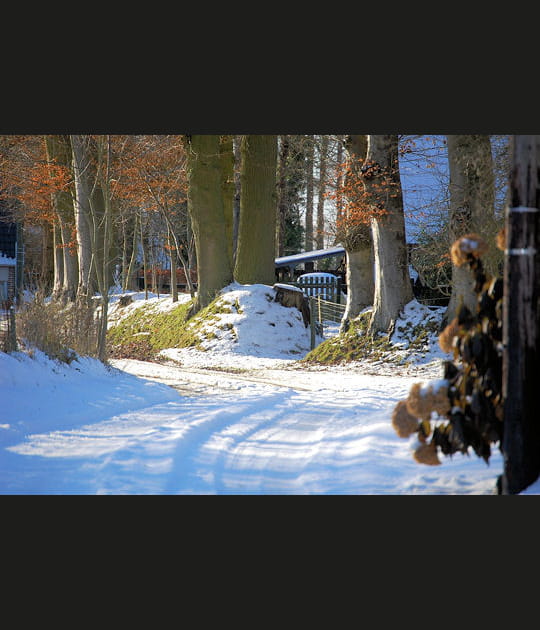 Lintot en Seine-Maritime