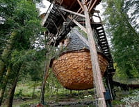 Sur un arbre perché : Rêves de cabanes