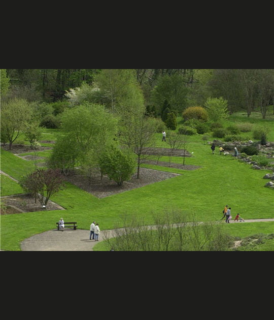 Le jardin botanique du Montet