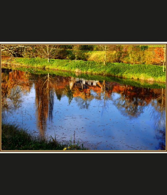 Reflets d'automne