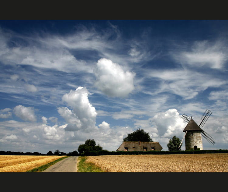 Le moulin de Hauville