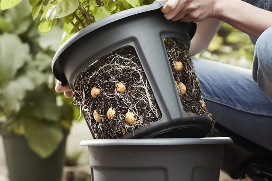 Un pot pour les r&eacute;coltes